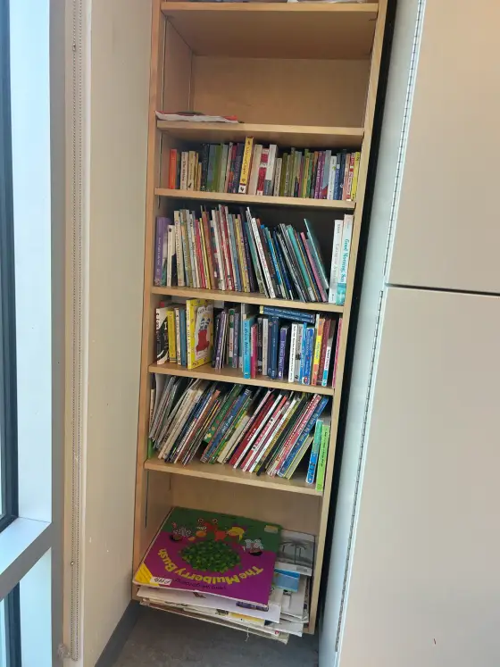 A full bookshelf of picture books beside a window in the Butterfly Room